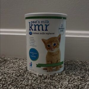 White Cat Bowl with Elegant Design and Practical Use